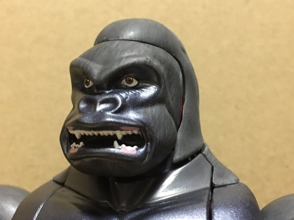 MP 32 Masterpiece Optimus Primal   In Hand Photos Surface On Twitter  (64 of 81)